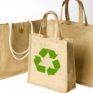 Eco-friendly bags